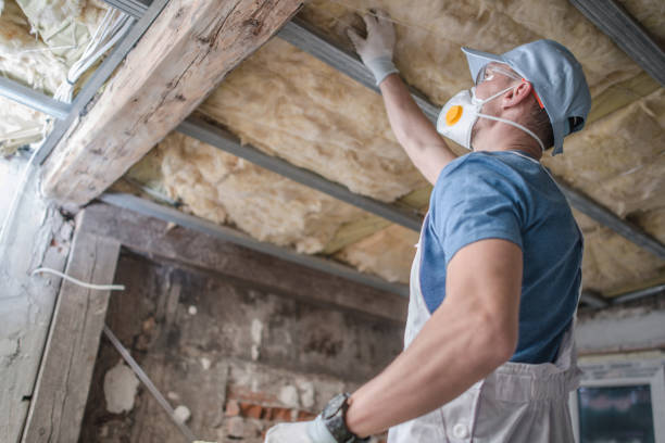 Best Insulation Materials and Products in Thruston, KY