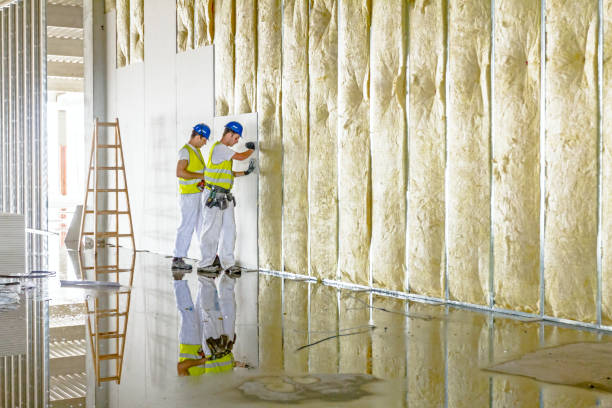 Best Insulation for Specific Applications in Thruston, KY